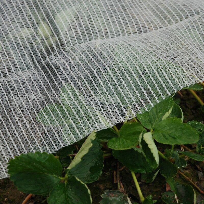 foto del prodotto rete anti gelo e anti cimice anti strappo permeabile protegge colture piante orto da gelo e insetti, m 4x10