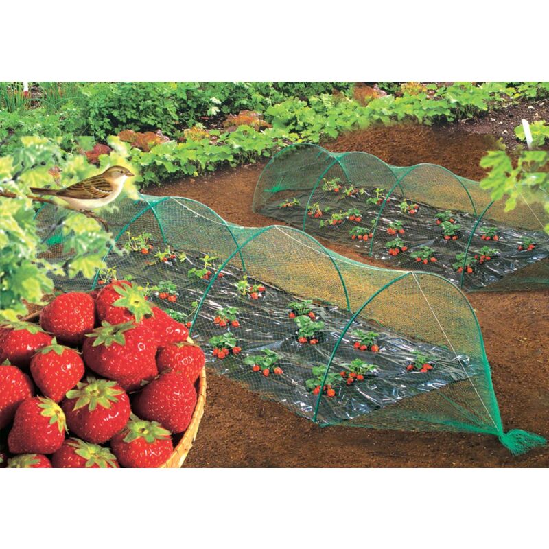 foto del prodotto rete anti uccelli birdnet 5 x 5 m verde nortene