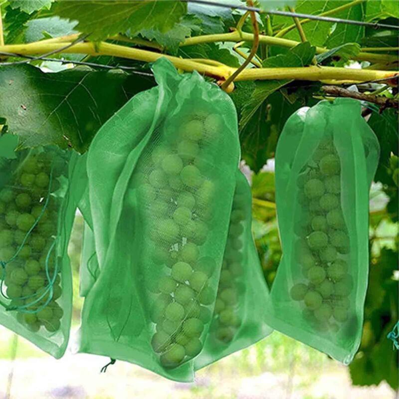 foto del prodotto rete anti uccelli e anti insetti, 100 sacchi protezione frutta sacchi a rete protezione grappoli uva contro uccelli e insetti vespe calabroni 30 x 20