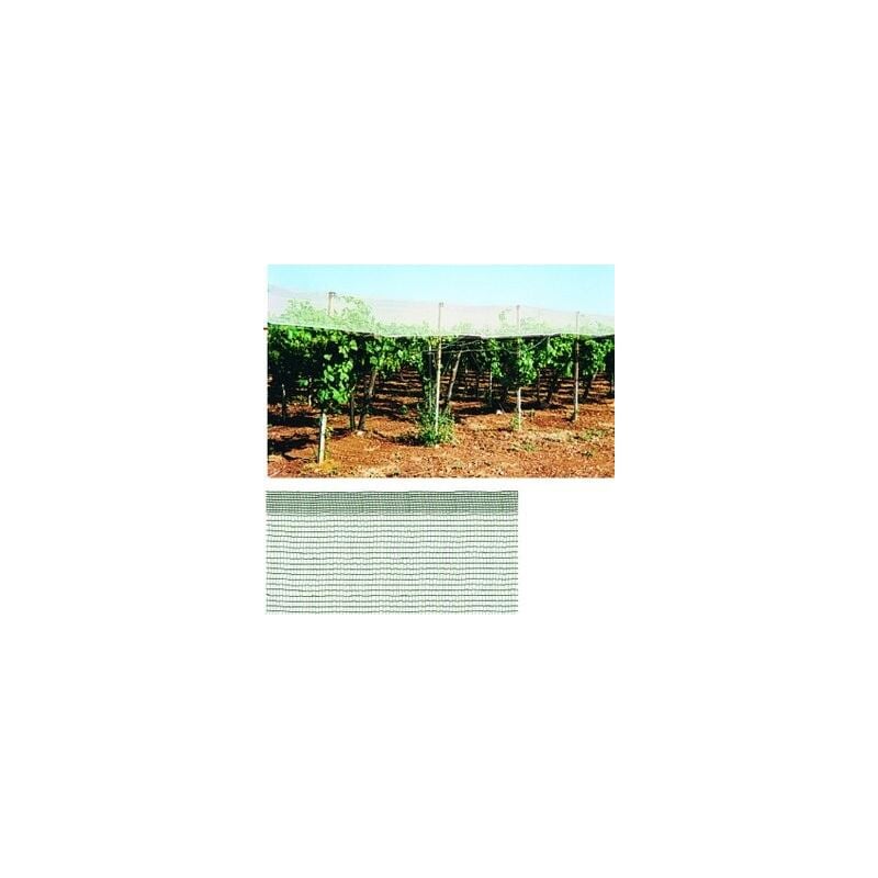 foto del prodotto rete antigrandine 2x10 mt