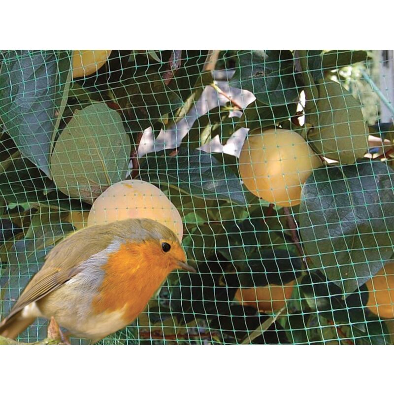 foto del prodotto rete antiuccelli ideal star 2x5 mt colore verde