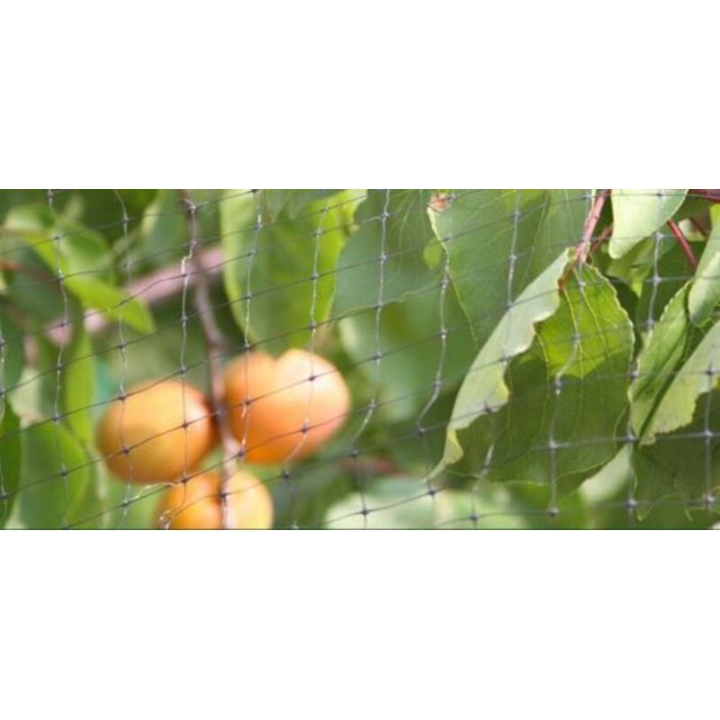 foto del prodotto rete antiuccelli ortoamica per protezione frutti orto da uccelli mt 4x250 34183