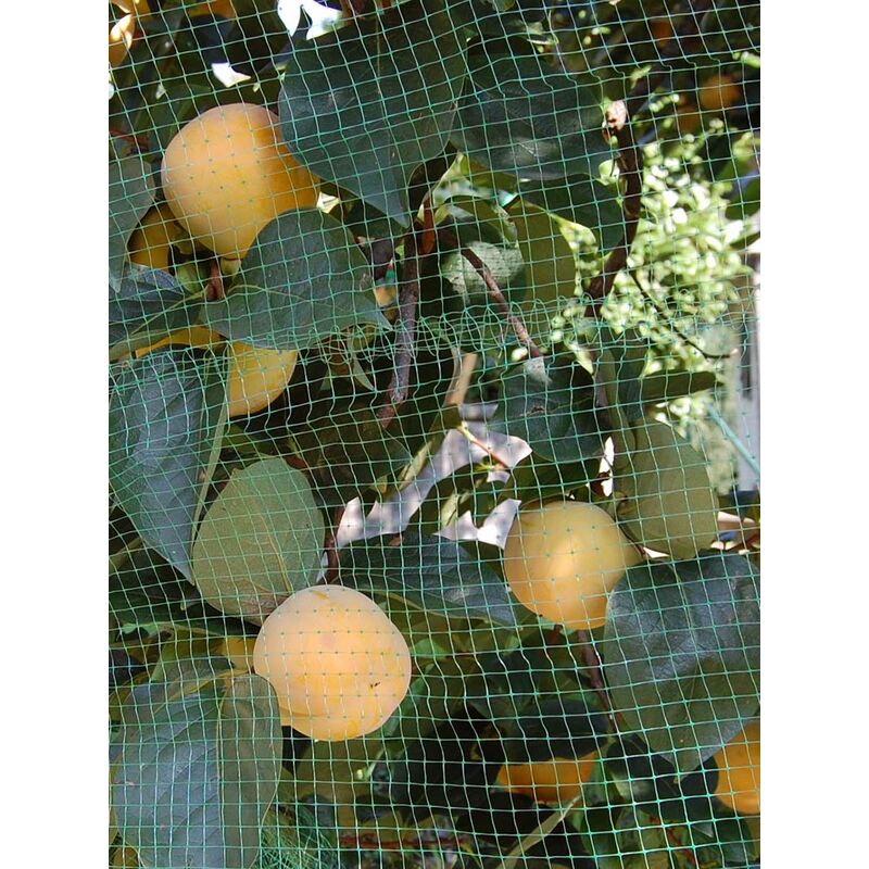 foto del prodotto rete antiuccelli ortoflex verde 4x10m tenax