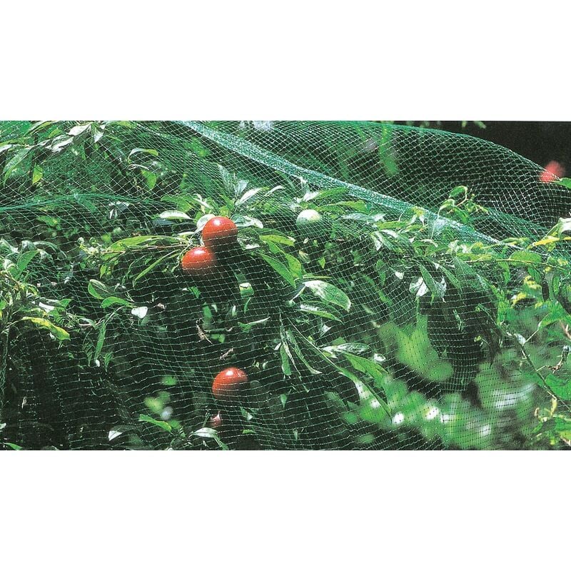 foto del prodotto rete di protezione antiuccelli h2 x10mt. pz 1