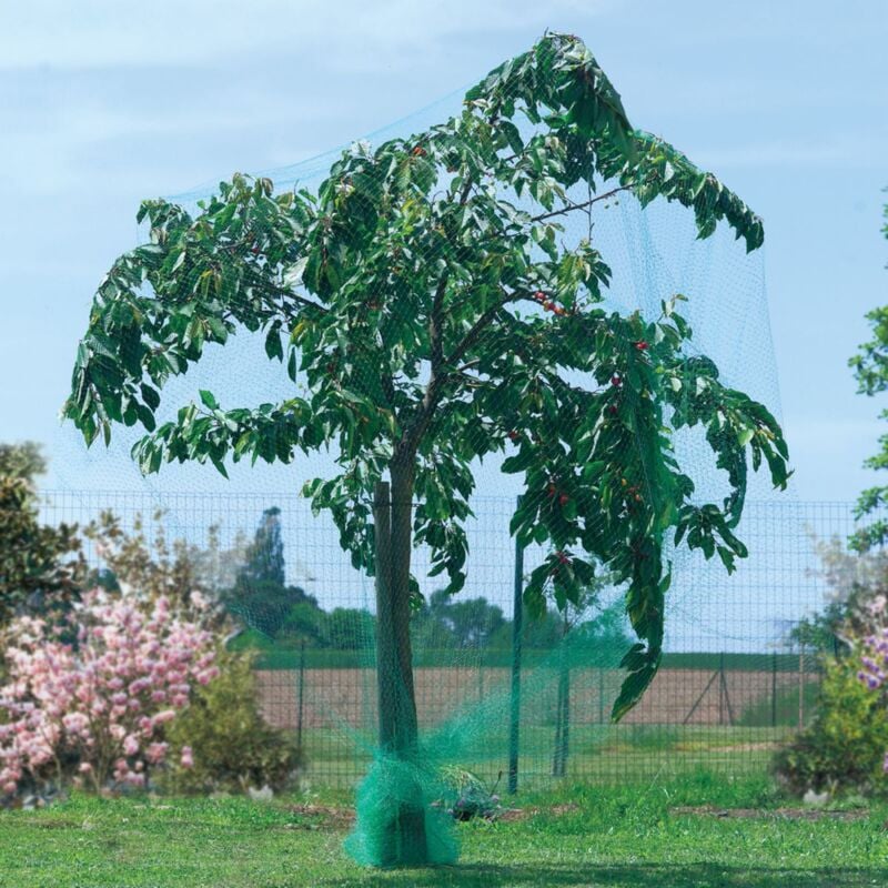 foto del prodotto rete di protezione per uccelli birdnet 1 x 10 m nera nortene