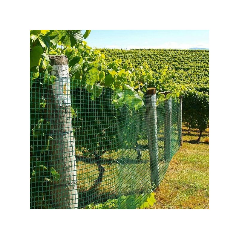 foto del prodotto rete metallica plasticata verde 0,5x10m per recinzione giardino