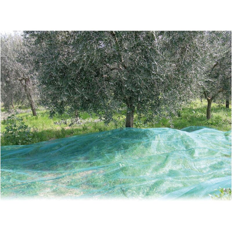 foto del prodotto rete per olive antispine mt. 10x12 100 g m 