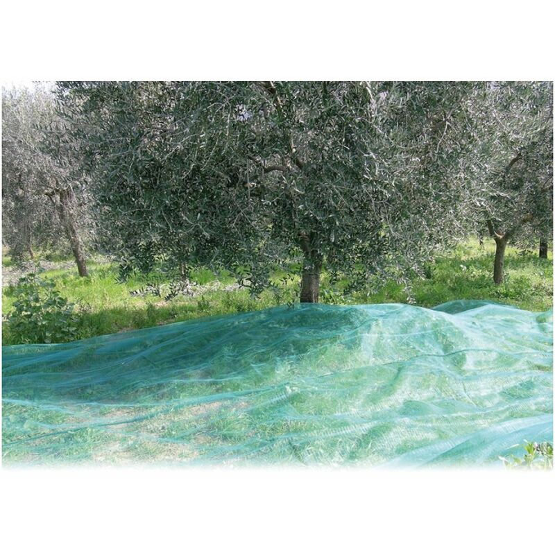 foto del prodotto rete per olive antispine mt. 4x6