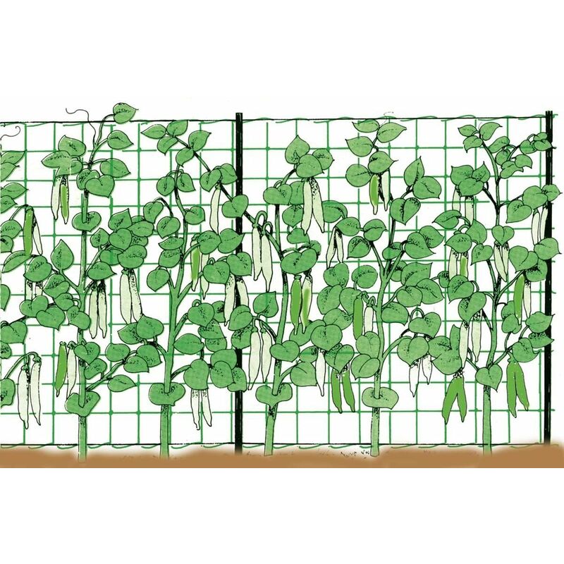 foto del prodotto rete rampicante 2 x 5 m stocker