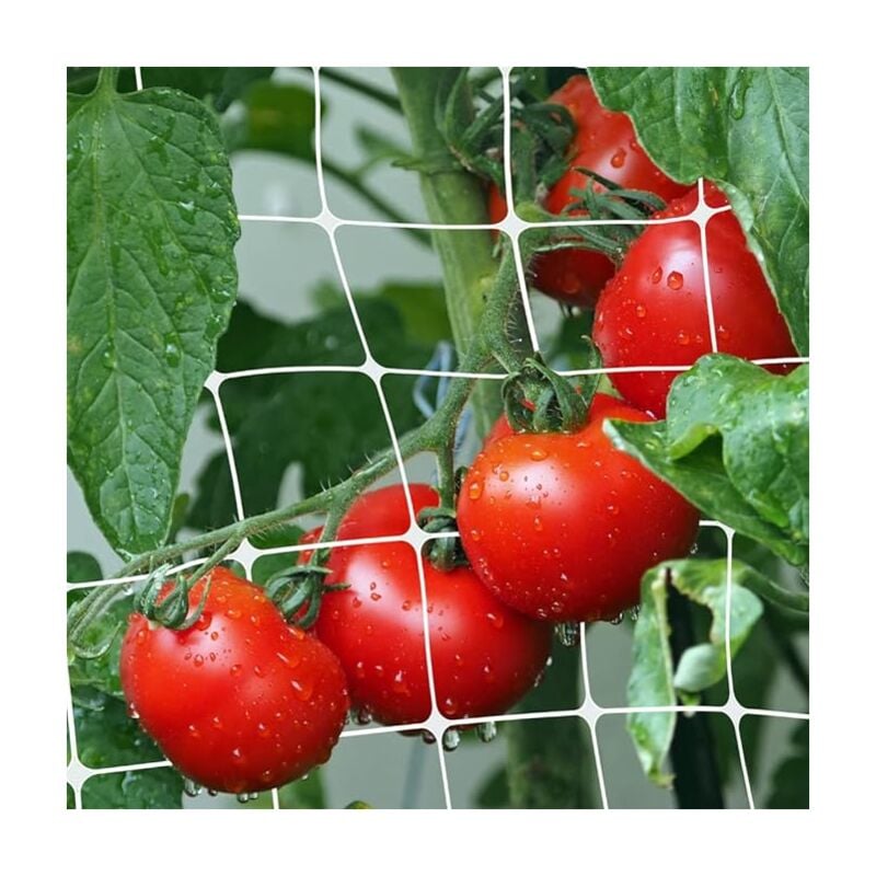 foto del prodotto rete rampicante ideal star 1,5x10 mt colore bianco