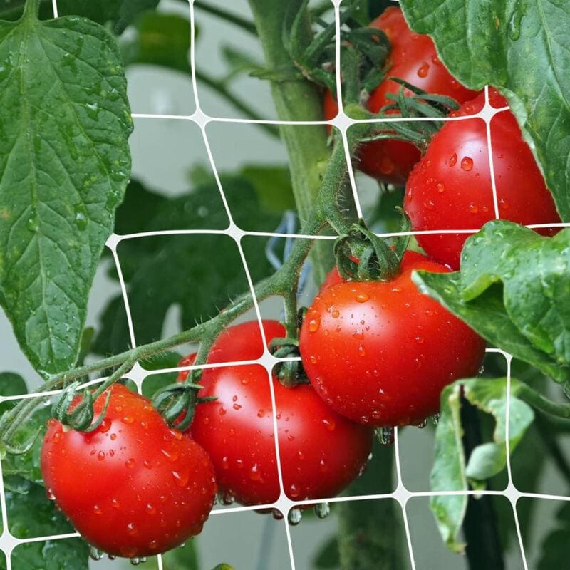 foto del prodotto rete rampicanti orto bianca in pvc, supporto per piante verticali 14x16 cm, ideale per coltivazione di pomodori, piselli, fagioli e cetrioli, interno