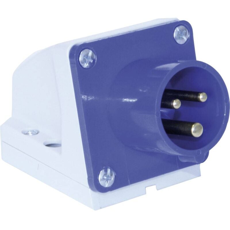 foto del prodotto rev 0510615555 spina da parete cee cara 16 a 3 poli 250 v 1 pz.
