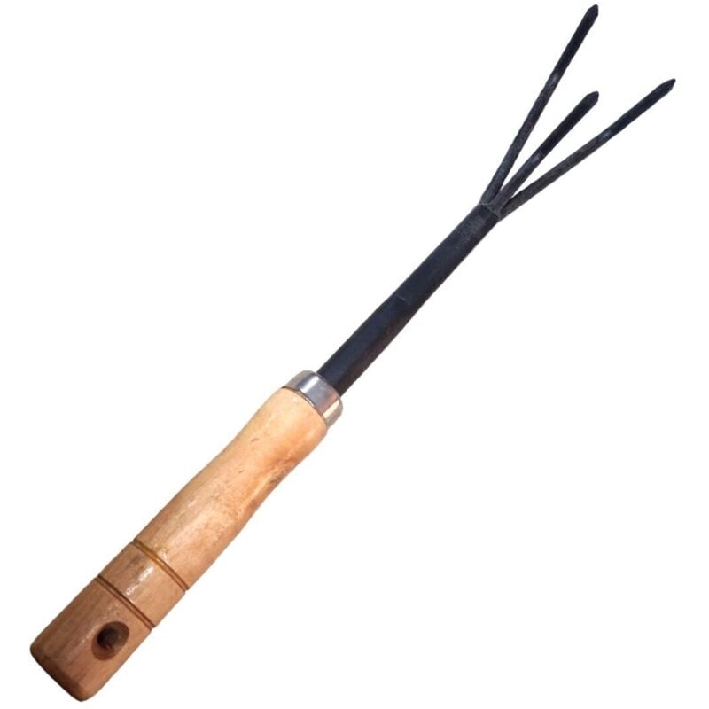 foto del prodotto rg rastrello giardino attrezzi 3 denti manico legno strumenti forchetta utensili