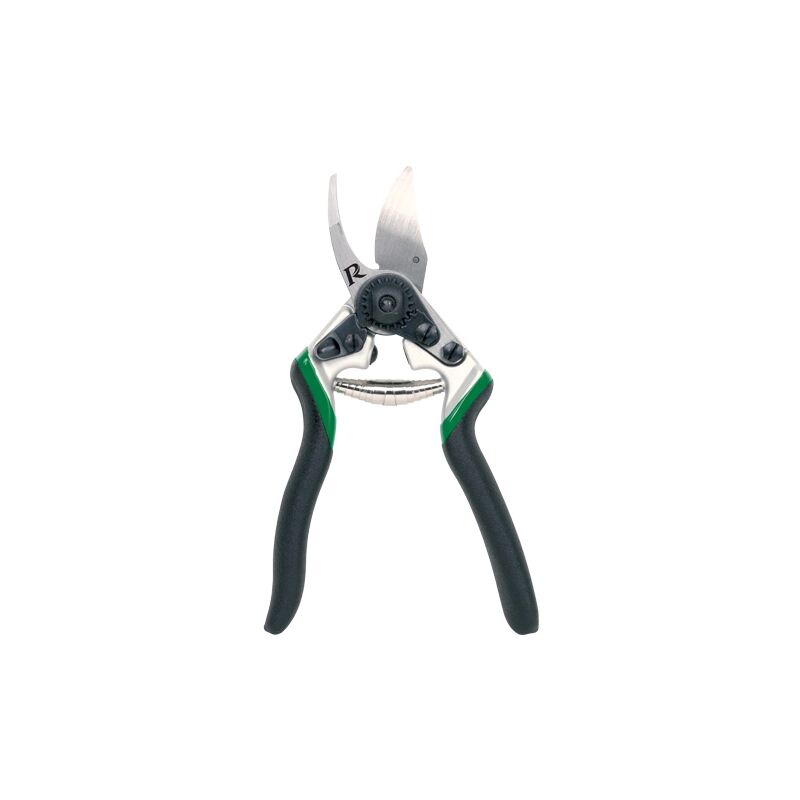 foto del prodotto ribimex forbice professionale 8 200 mm apertura di ta prsfc079pro