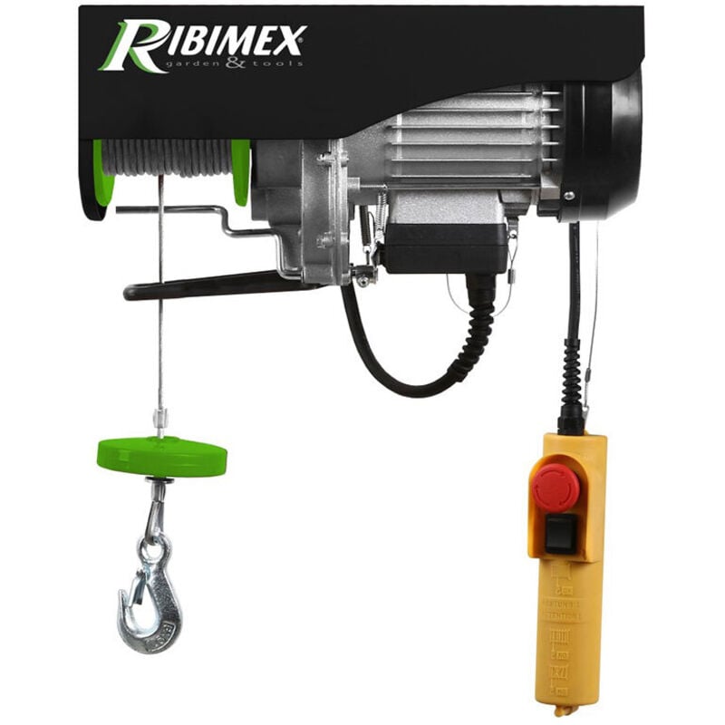 foto del prodotto ribimex paranco elettrico 125 250 kg