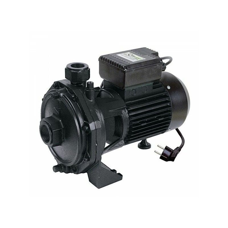 foto del prodotto ribimex pompa superficie x acque biturbina centrifuga 2000w irrigazione prrbk200