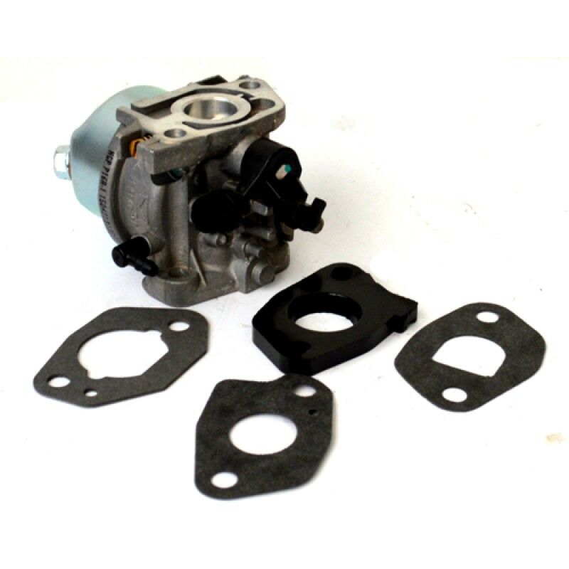 foto del prodotto ric.papillon - rasaerba 95481-95482-93896-93897 carb. p.97-98-99-100