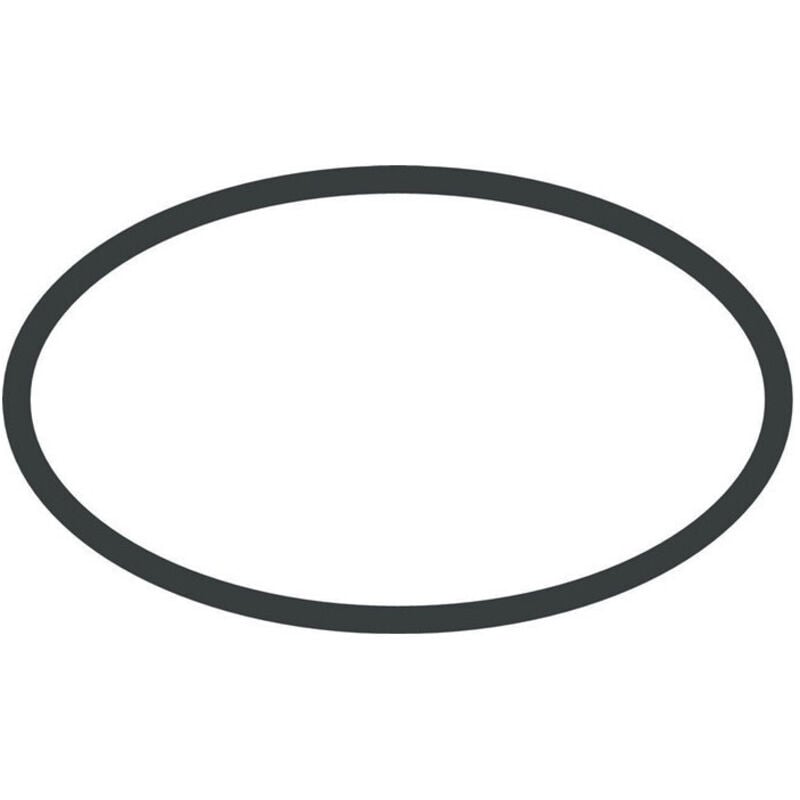 foto del prodotto ricambio guarnizione oring per miscelatore hansgrohe 98186000