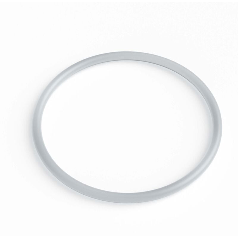 foto del prodotto ricambio per chiarificatore per laghetti sunsun cuv 224 anello o ring 2 chiarificatore acqua