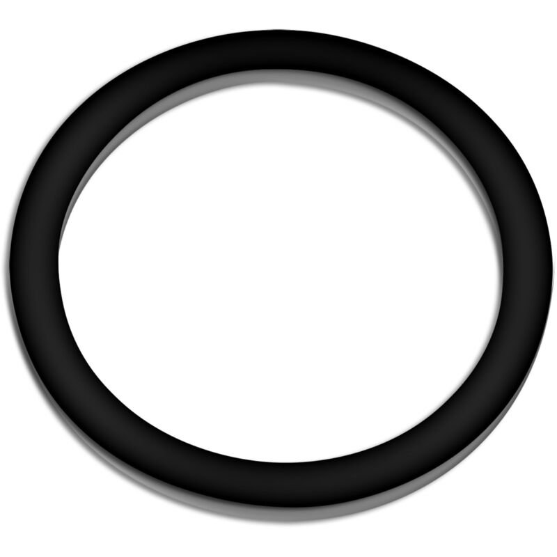 foto del prodotto ricambio per filtro laghetti sunsun cbf-350b anello in gomma per ingresso