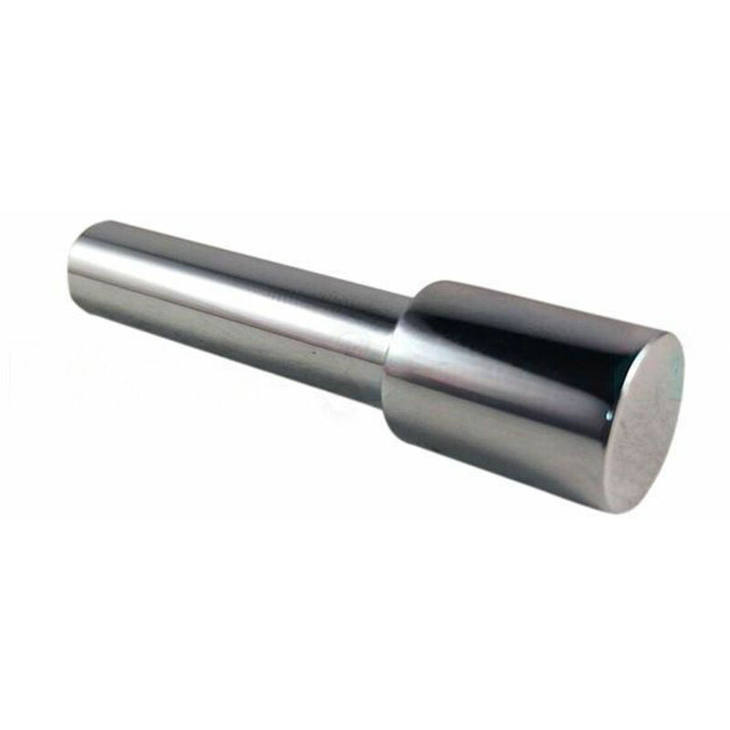 foto del prodotto ricambio tasto per deviatore newform 10779.21.018