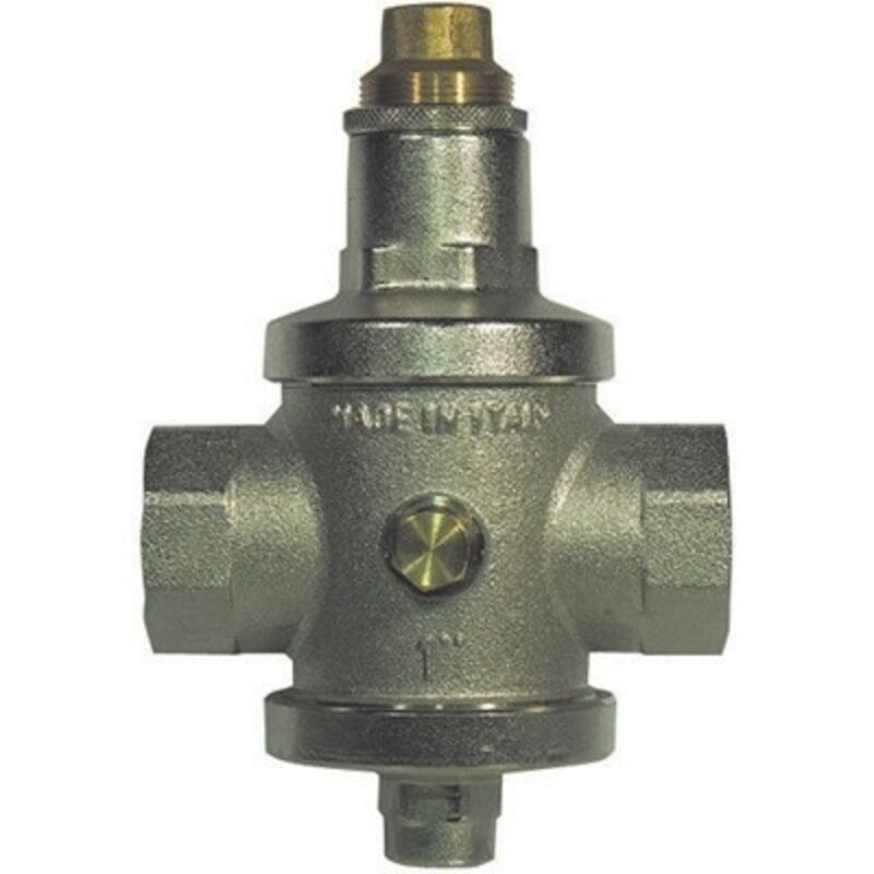 foto del prodotto riduttore di pressione tipo economico 1 2