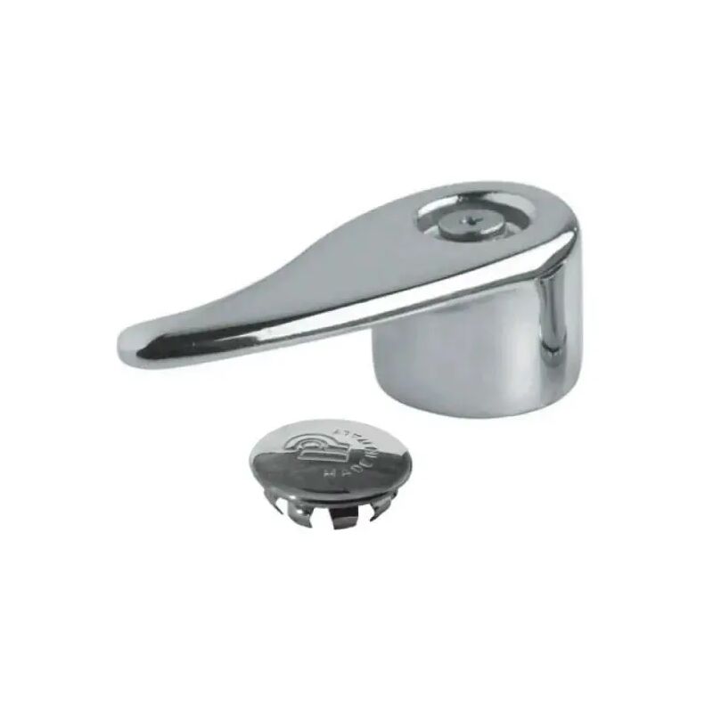 foto del prodotto rinaldi e pettinaroli - leva con placchetta cromata per passo rapido cromata