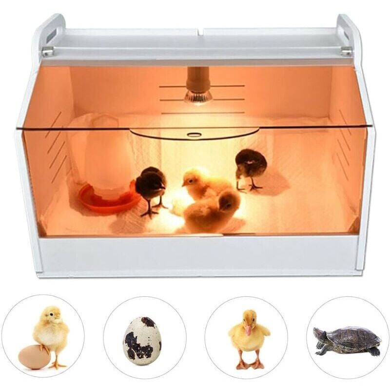 foto del prodotto riscaldatore per pulcini completamente automatico da 220 v con termometro e lampada riscaldante per pulcini per pollame, rettili e piccoli animali
