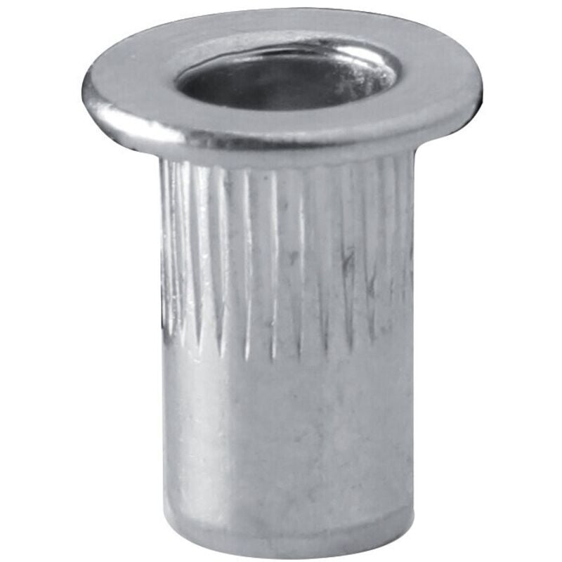 foto del prodotto rivetti 50 pz filettati m4 per rivettatrice in cassetta valex 1950229