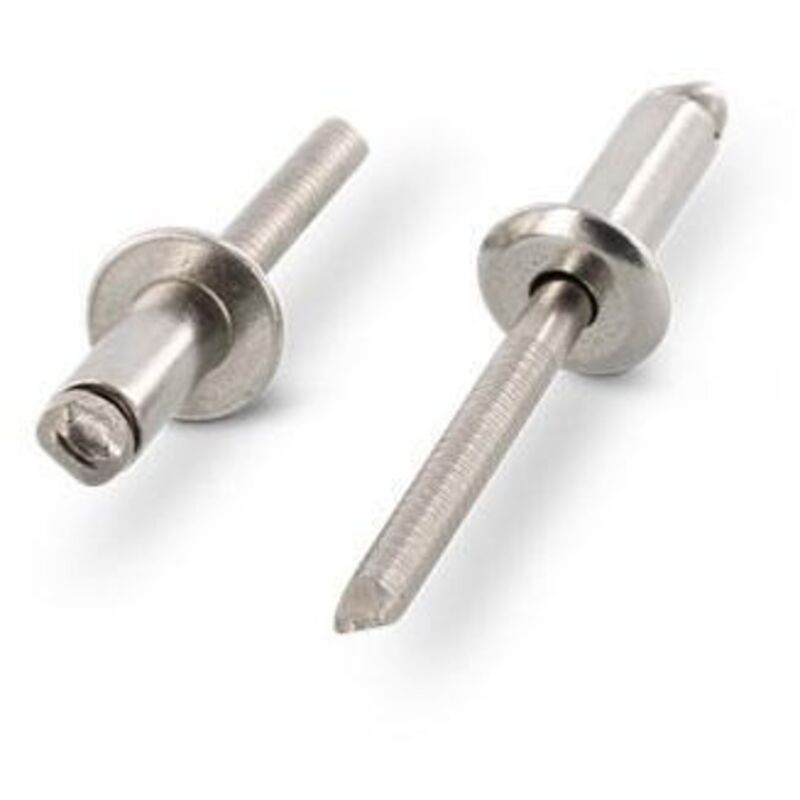 immagine 0 del prodotto rivetti in acciaio inox a4 aisi 316, 4 x 6 mm 500 rivetti a strappo