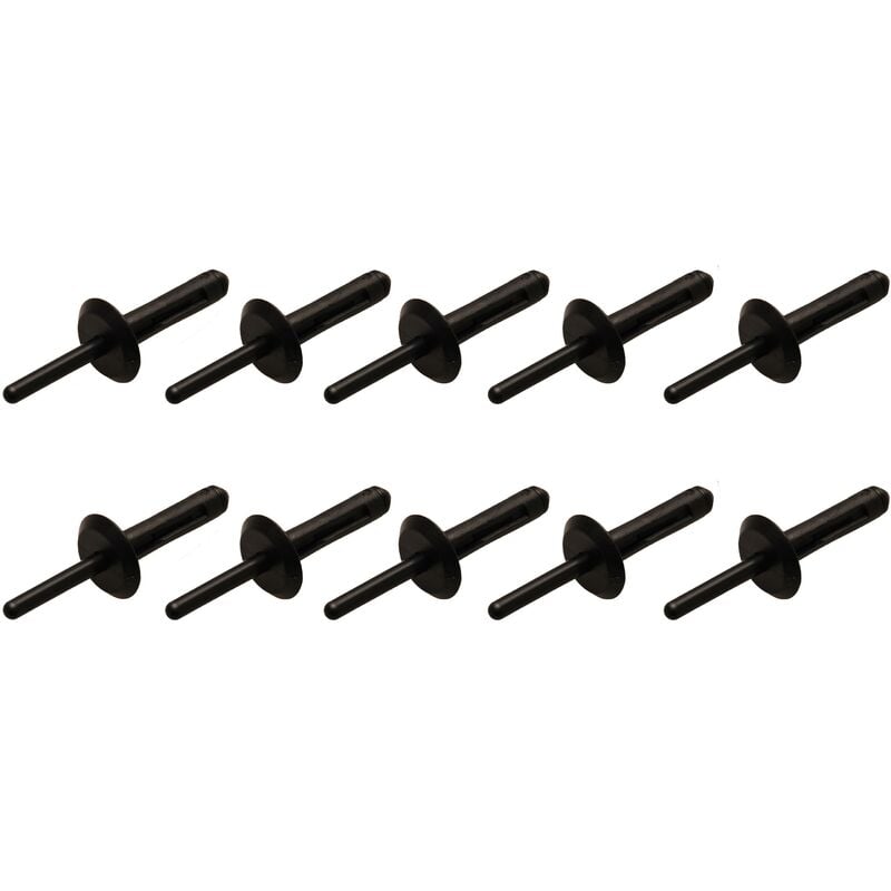 foto del prodotto rivetti in plastica per 8463 6,3 x 25,2 mm 10 pz.
