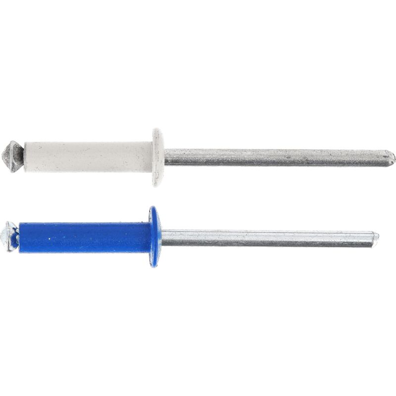 foto del prodotto rivetti sbocciati blu, bianchi per piastre immatricolazione diametro 4 mm lunghezza 26 mm rif. 225107 blister di 8, grigio blu restagraf