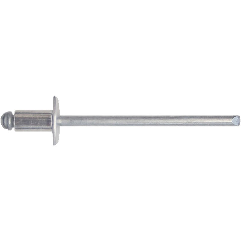 foto del prodotto rivetto a strappo inox a2 4,8 x 12 blister 100 pz
