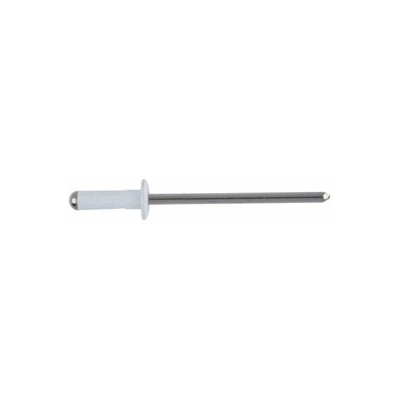foto del prodotto rivetto rivetti in alluminio chiodo acciaio zincato testa bianca ral 9010 sacto
