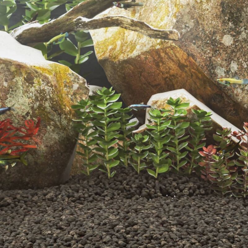 foto del prodotto rocce vulcaniche 10 kg nere 1 2 cm vidaxl