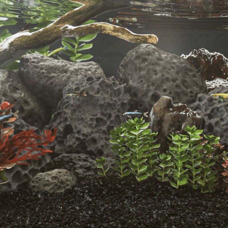 foto del prodotto rocce vulcaniche 10 kg nere 10 30 cm vidaxl