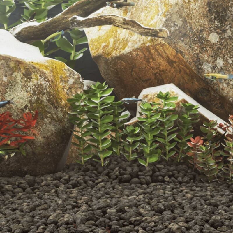 foto del prodotto rocce vulcaniche 10 kg nere 5 8 cm vidaxl