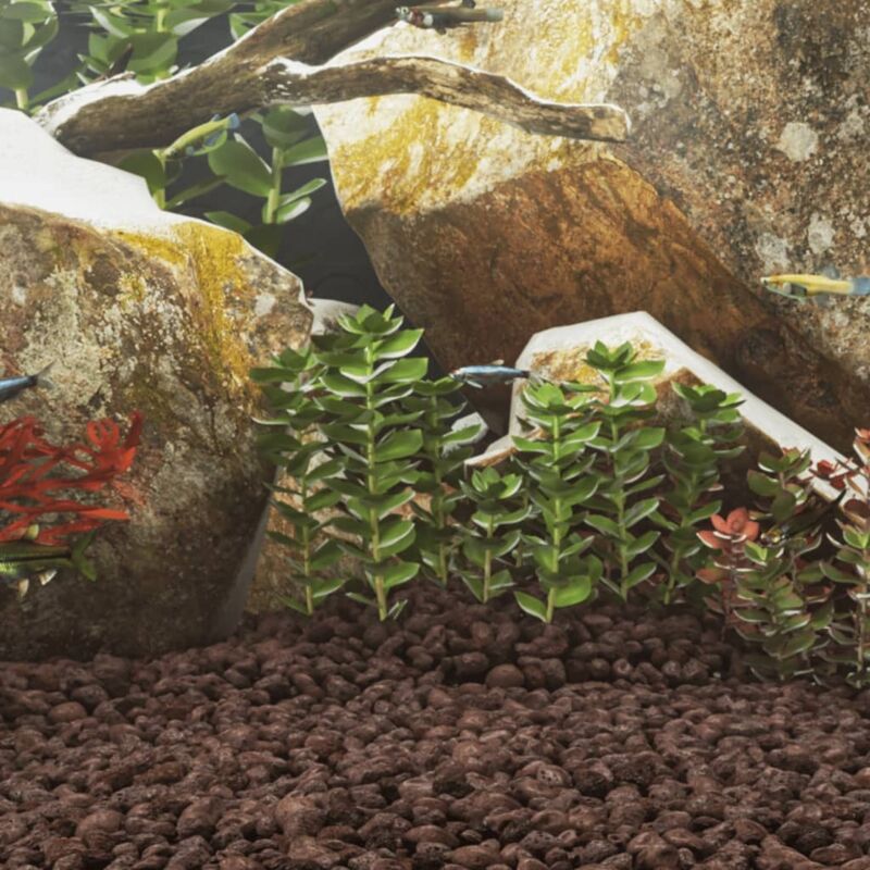 foto del prodotto rocce vulcaniche 10 kg rosse 5 8 cm vidaxl