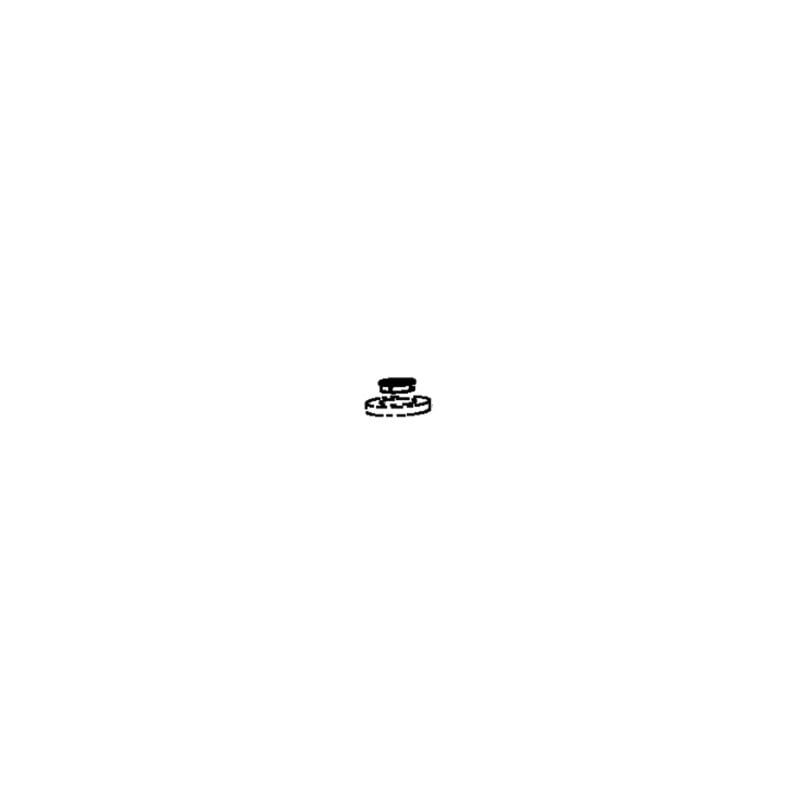 foto del prodotto rondella del motore aspirapolvere rowenta 43504013616360183641