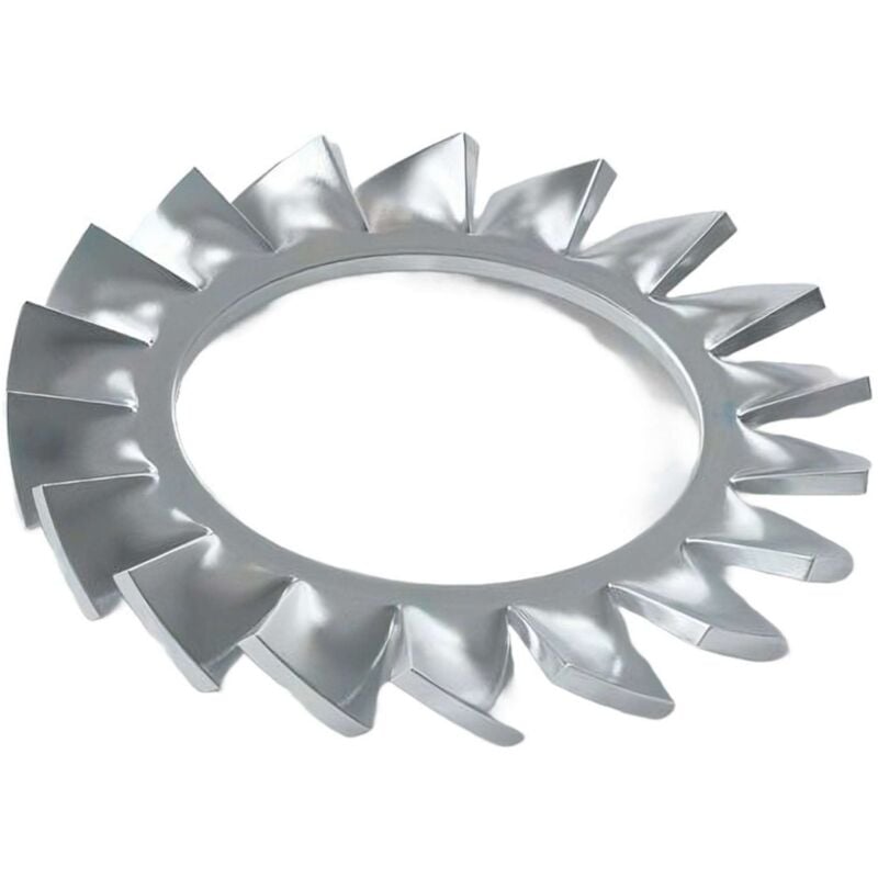 foto del prodotto rondella dentellata esterna m6 2000 pz. ambrovit