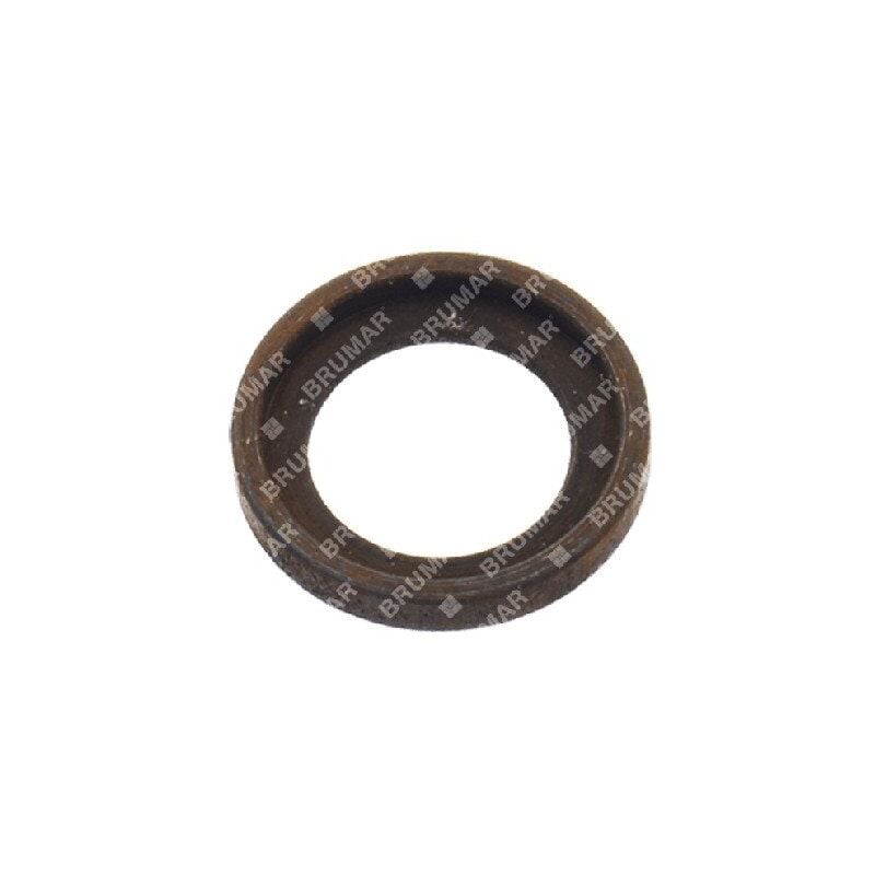foto del prodotto rondella per spinotto pistoni asia china compatibile 038803