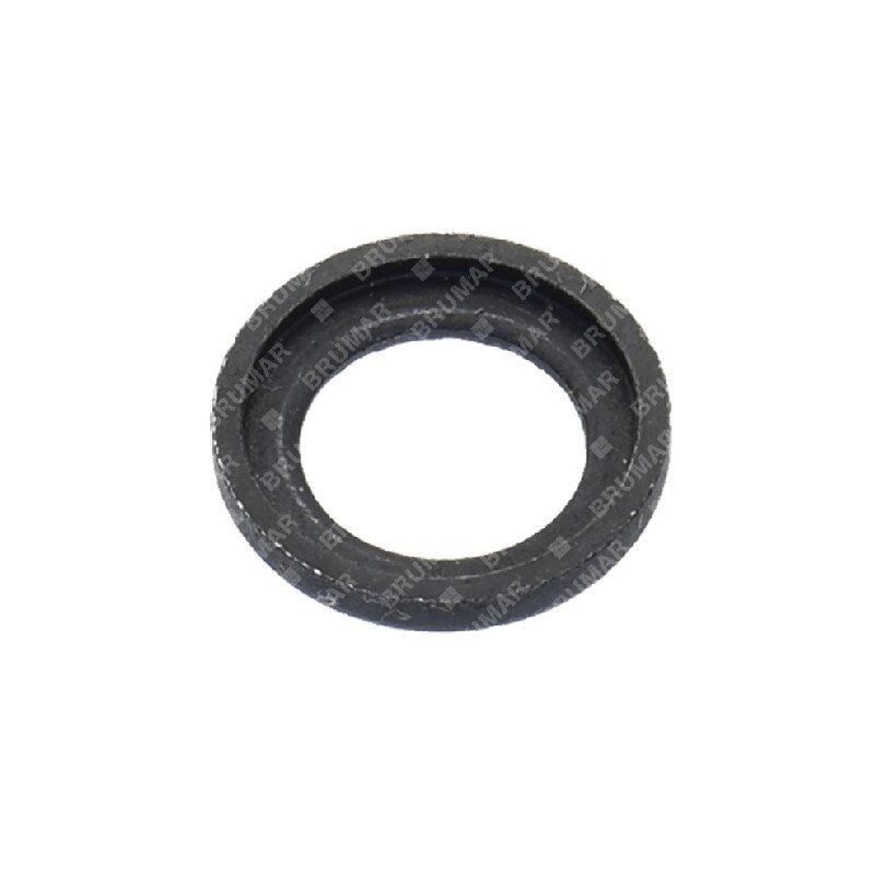 foto del prodotto rondella pistone green line compatibile 015238