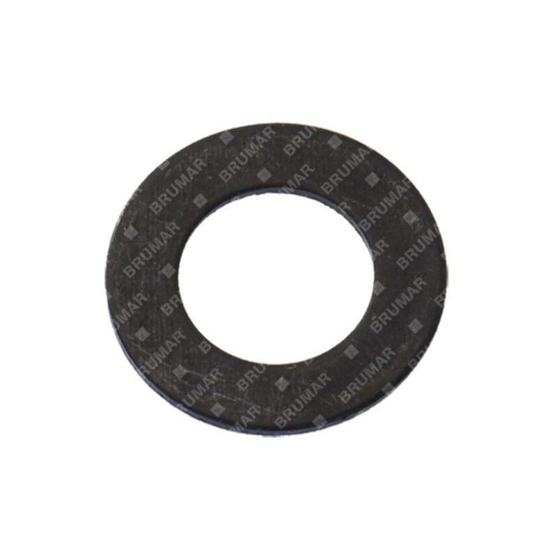 foto del prodotto rondella pompa olio per motoseghe progreen 054713