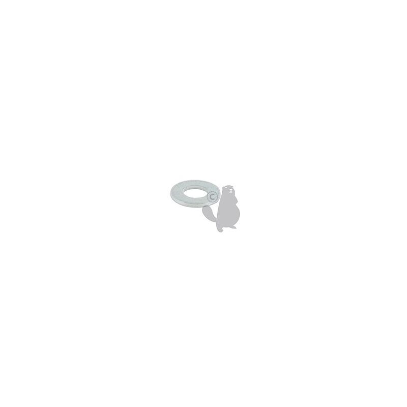 foto del prodotto rondella rif 1306706 compatibile