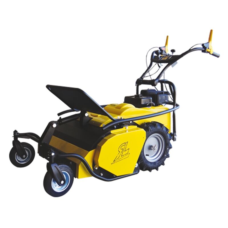 foto del prodotto roques et lecoeur trinciaerba a flagelli 60 cm roquesetlecoeur rl460b motore briggs stratton