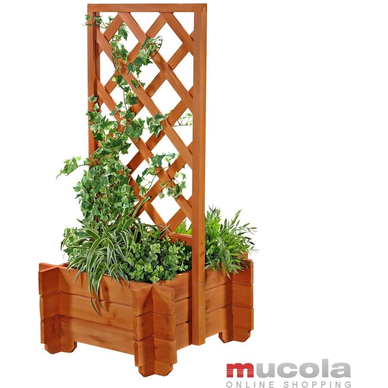 foto del prodotto rosa arco pianta pergola traliccio aiuto fiore pentola arco porta in legno
