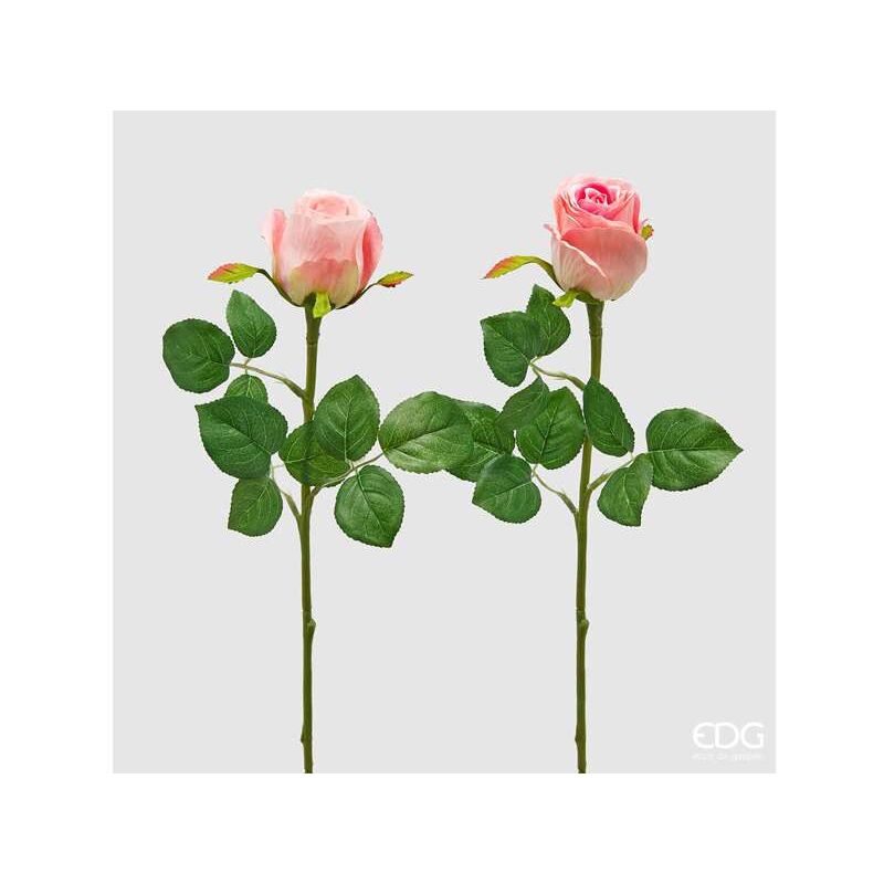 foto del prodotto rosa bocciolo olis colori assortiti 51 cm