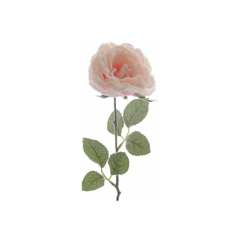 foto del prodotto rosa stelo singolo rosa con neve
