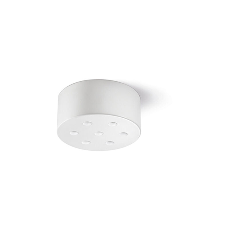 foto del prodotto rosone multicavo 7 fori in metallo bianco opaco d12cm