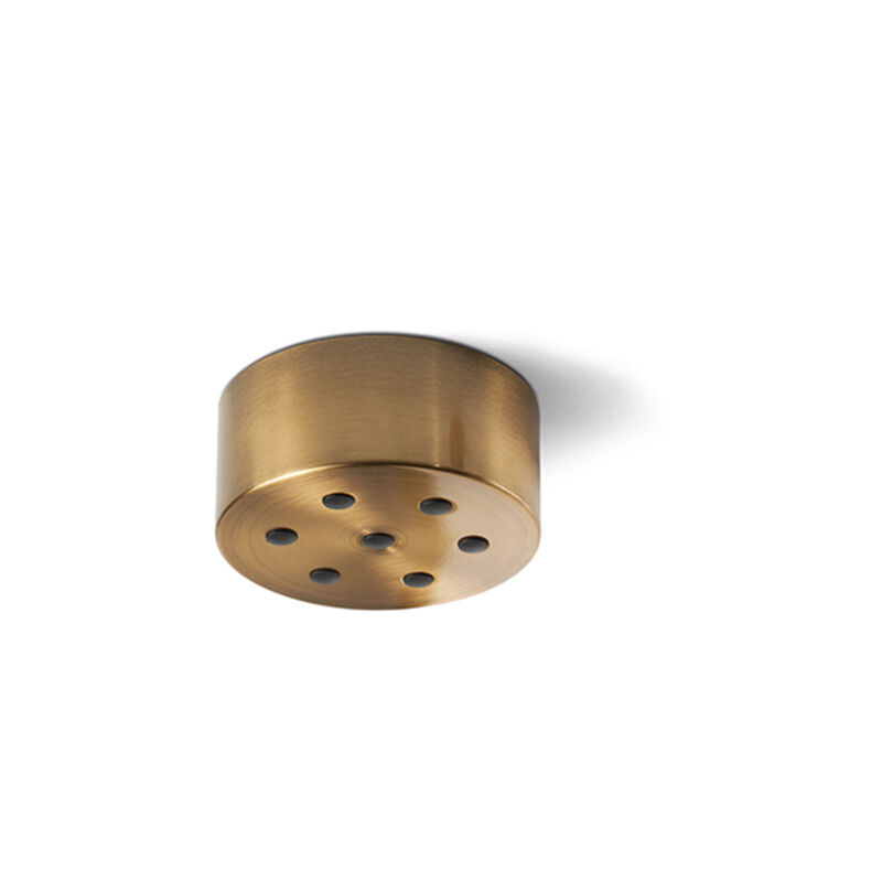 foto del prodotto rosone multicavo 7 fori in metallo ottone brunito d12cm